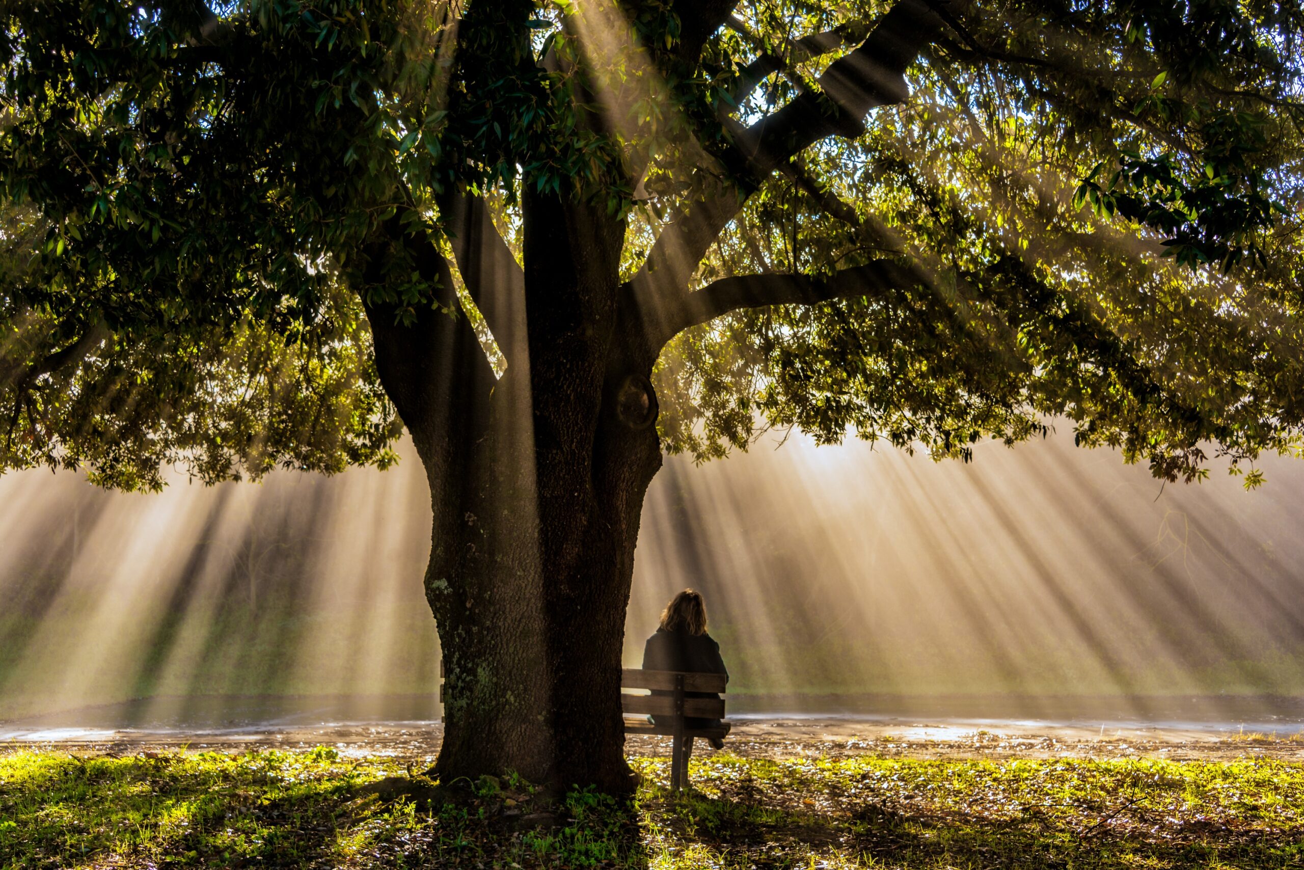 Mindful Living practice - sitting under a tree and meditating