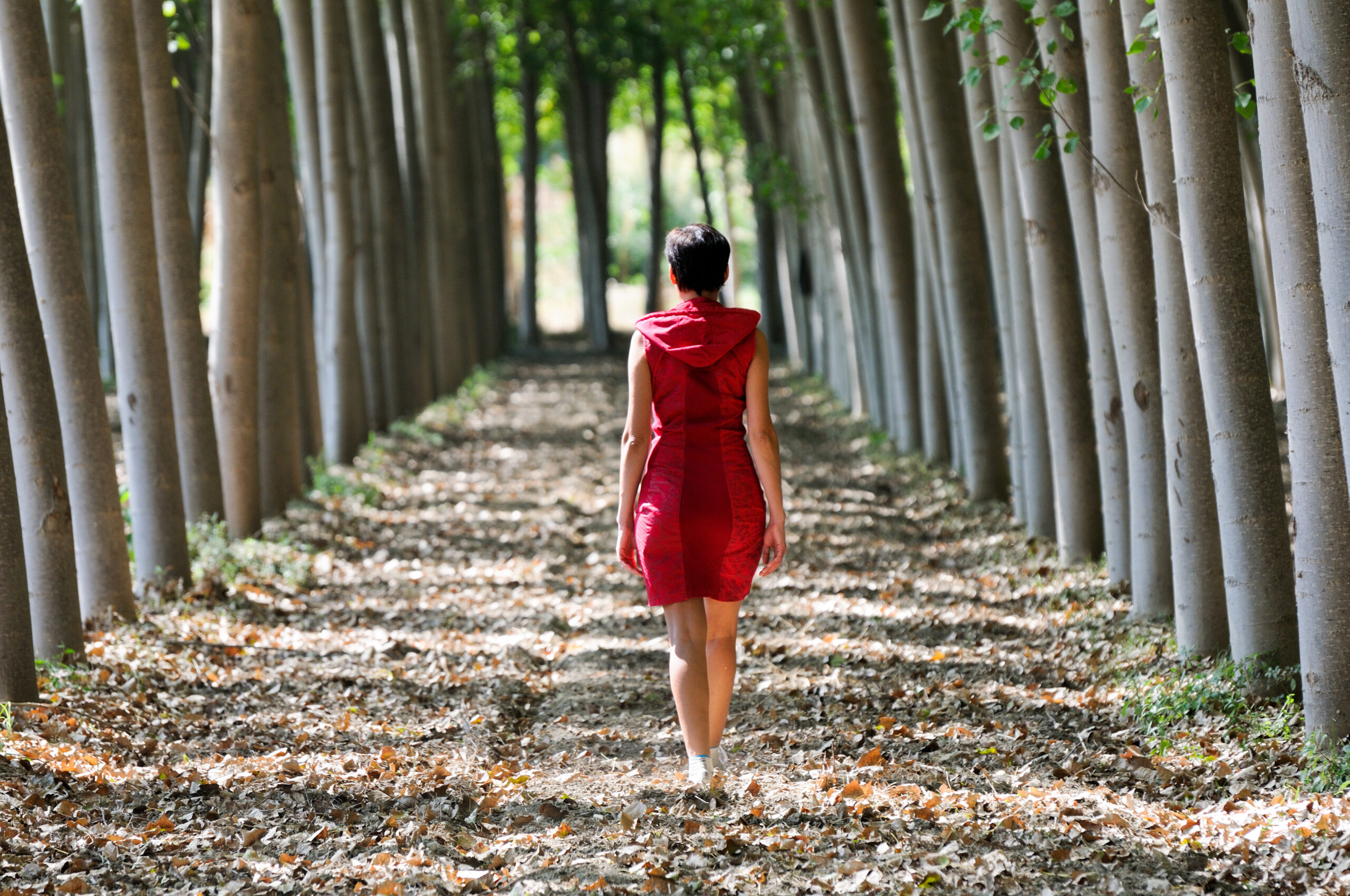 Person practicing walking meditation on a forest trail, embracing nature and mindfulness.